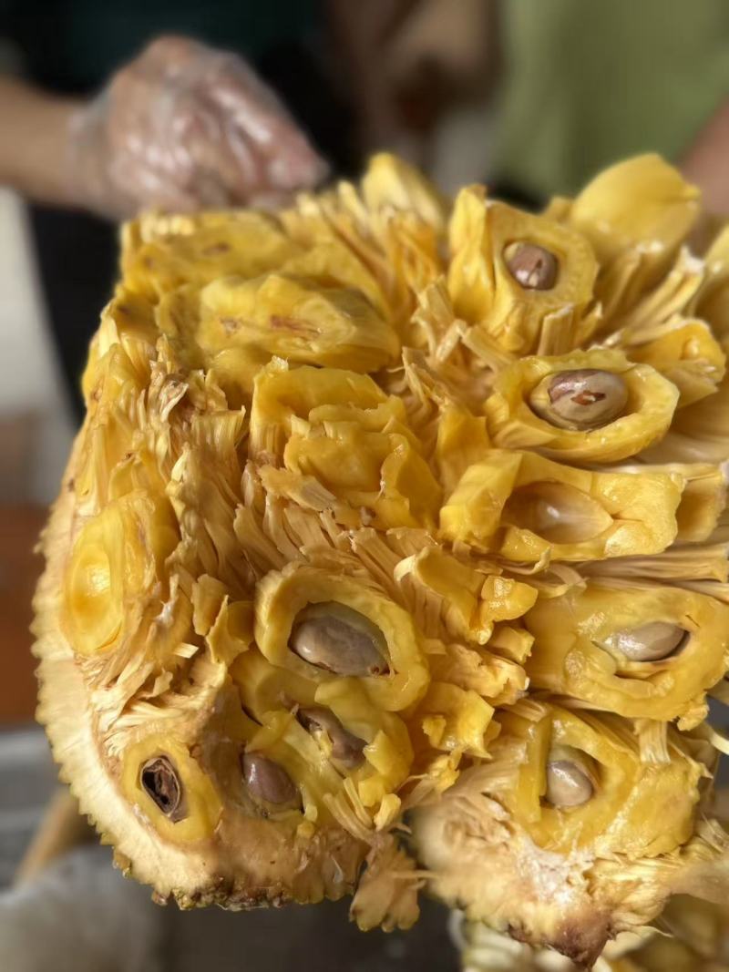 黄金菠萝蜜