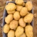 陕北土豆黄心土豆货源充足质量保证诚信经营欢迎咨询