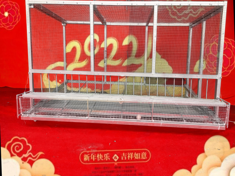兔笼子