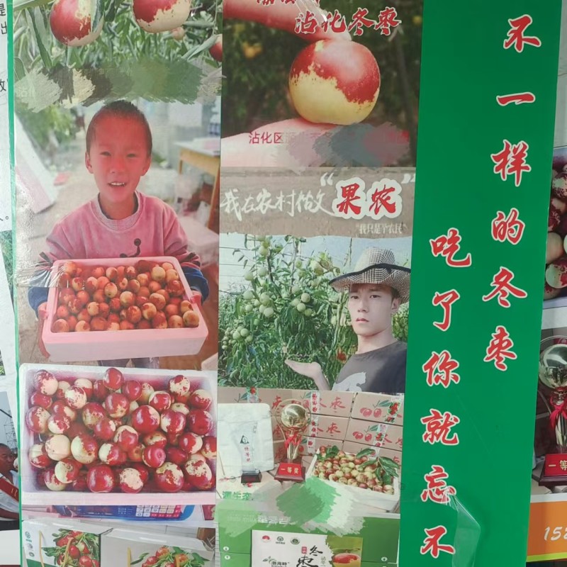 渤海畔沾化冬枣产地直销诚信和品质共存精品优质高档水果