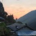 粽叶，晒叶，高山野生粽叶