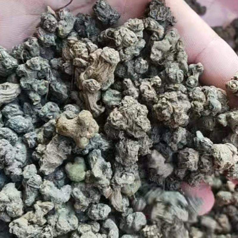 大个精品夏天无中药材可线上下单可实地批发欢迎来电