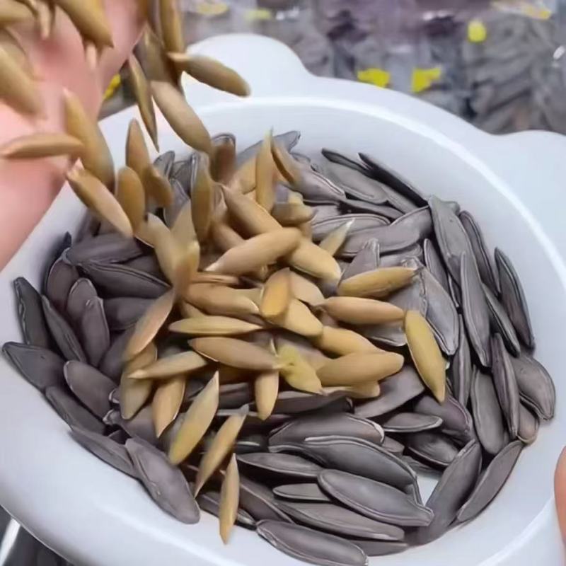 黑美人特大茶香美人甲长粒独立南瓜子瓜子盐味椒盐炒货安吉白茶