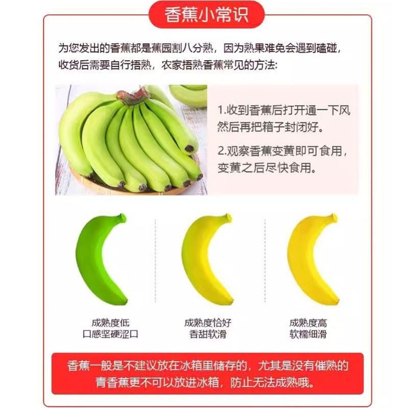 云南青皮蕉高山香蕉现摘应季自然熟新鲜水果整箱青皮发货