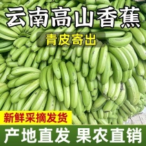 云南青皮蕉高山香蕉现摘应季自然熟新鲜水果整箱青皮发货