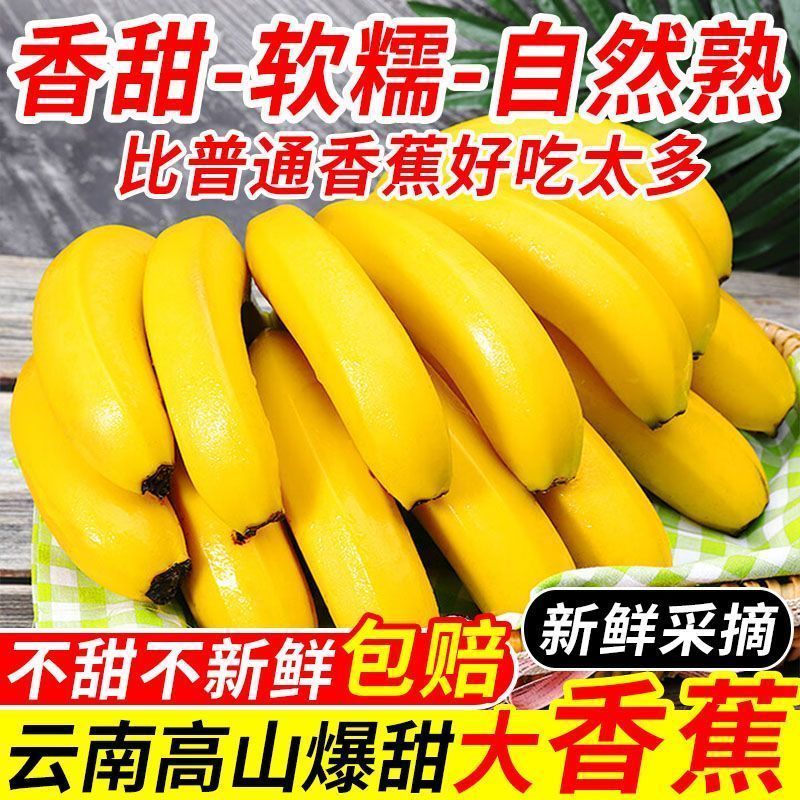 云南青皮蕉高山香蕉现摘应季自然熟新鲜水果整箱青皮发货