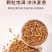 黄苦荞茶特级浓香型荞麦茶正宗罐装苦荞干吃正品清热去火苦荞茶