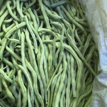 高架豆