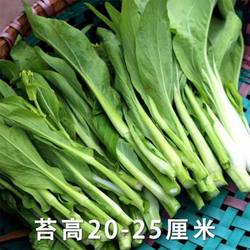 贵州白菜菜苔园地新鲜质量保证对接全国一条龙服务