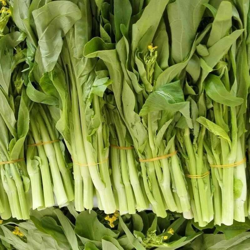 贵州白菜菜苔园地新鲜质量保证对接全国一条龙服务