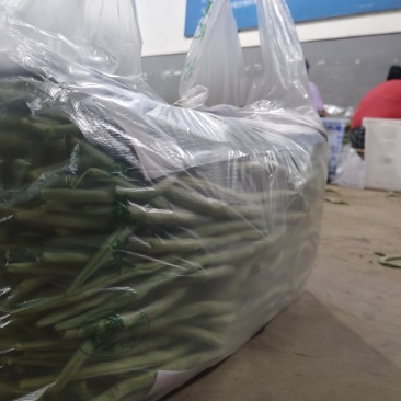 高原精品架豆，大量走货，精品精品