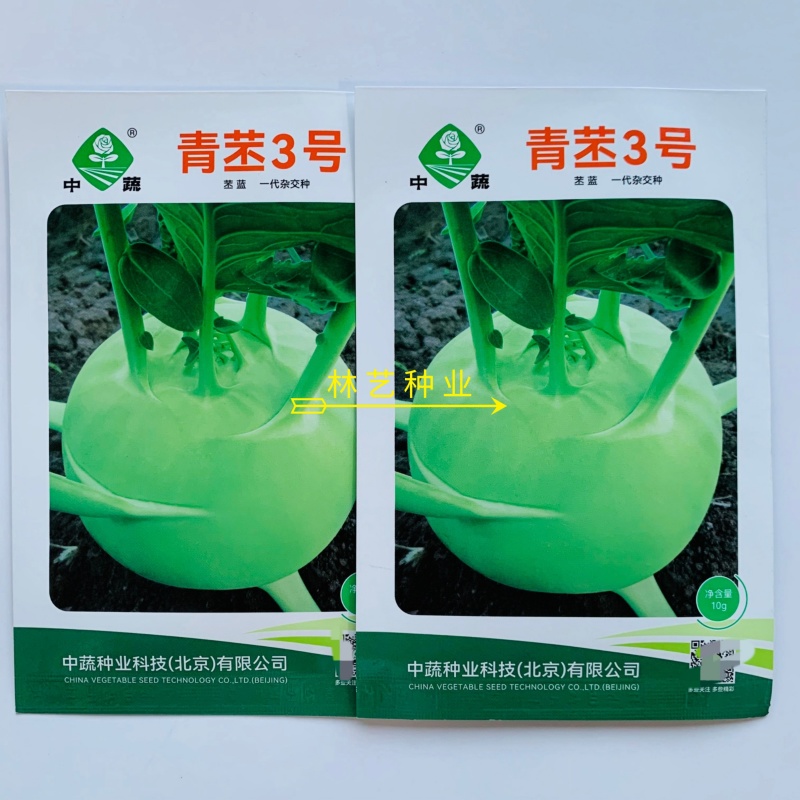青苤3号苤蓝种子春秋早熟扁圆形青绿苤蓝蔬菜种子
