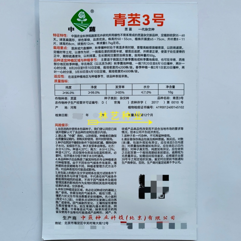 青苤3号苤蓝种子春秋早熟扁圆形青绿苤蓝蔬菜种子