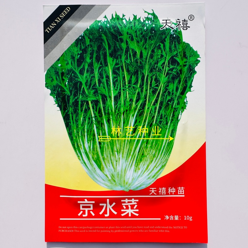 天禧京水菜种子柔嫩鲜美高产抗病商品性佳农家秋冬季播
