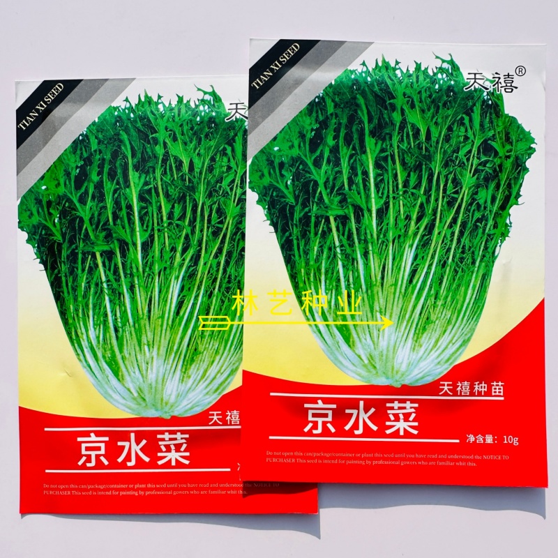 天禧京水菜种子柔嫩鲜美高产抗病商品性佳农家秋冬季播