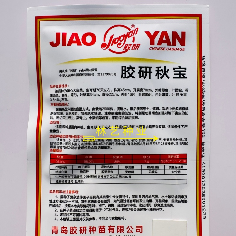 胶研秋宝黄心大白菜种子结球紧实抗病性强成熟整齐产量稳定白