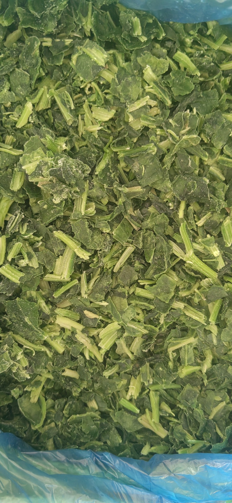 速冻菠菜碎