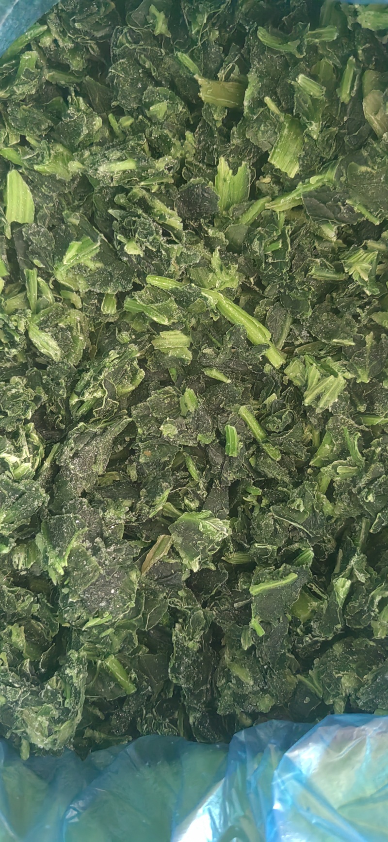 速冻菠菜碎