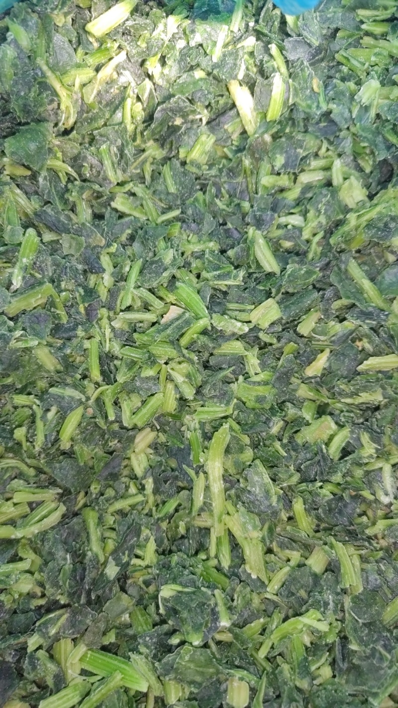 速冻菠菜碎