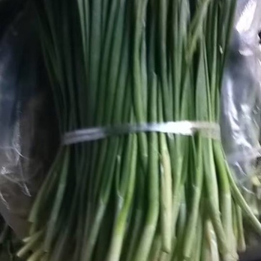 韭菜，全部冲洗干净了，300斤起