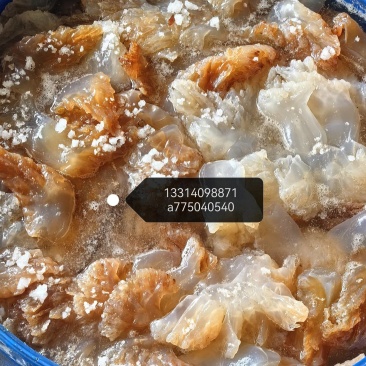 成品海蜇收购商来谈***********