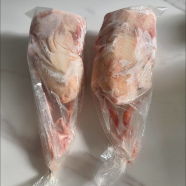 新鲜杂粮土鸽子烤乳鸽农家散养老鸽子现杀新鲜乳鸽滋补