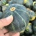 千亩贝贝南瓜上市
