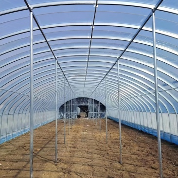 大棚钢管二手大棚建设蔬菜大棚建设养殖大棚椭圆管大棚建设