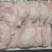 二级老鸡排腿