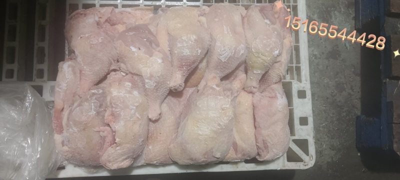 二级老鸡排腿