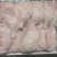 二级老鸡排腿