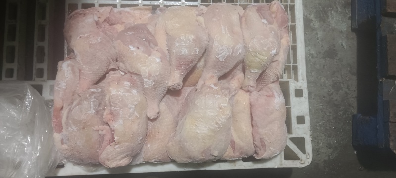 二级老鸡排腿