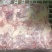 二级老鸡排腿
