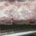 二级老鸡排腿