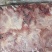 二级老鸡排腿