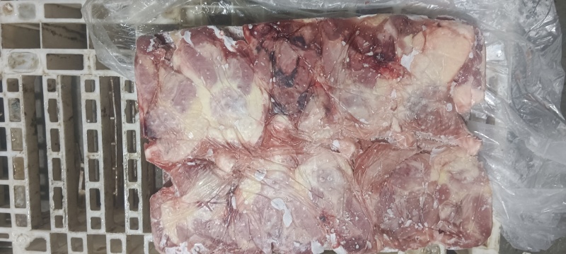 二级老鸡排腿