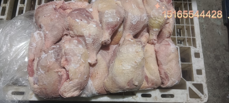 二级老鸡排腿