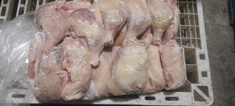 二级老鸡排腿