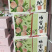 阳山水蜜桃甘甜可口，礼盒泡沫箱按需包装代购代办一件代发