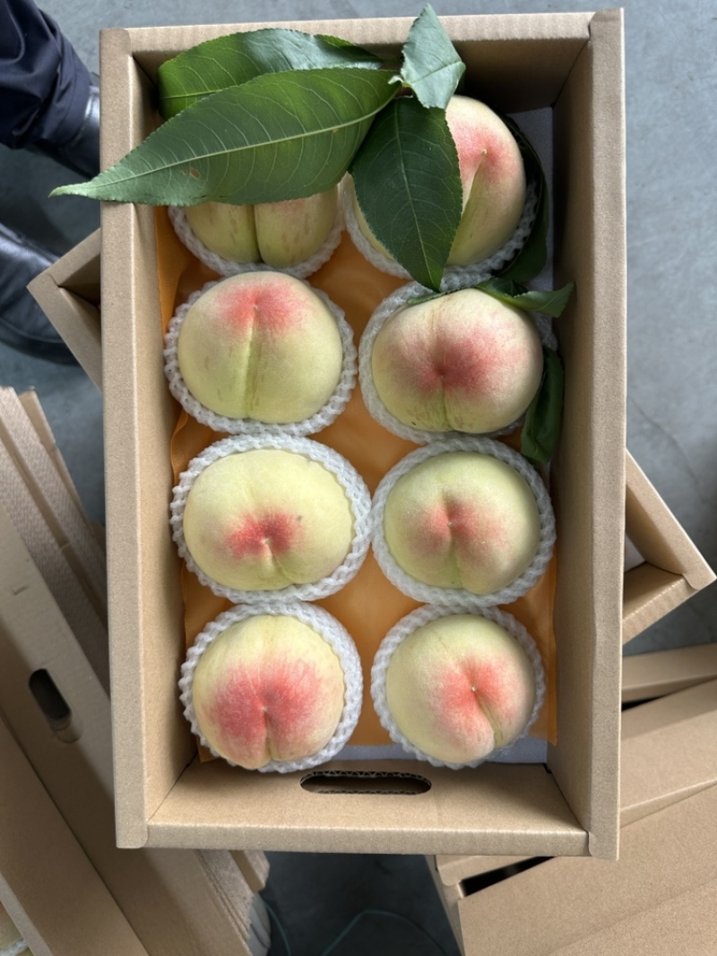 阳山水蜜桃甘甜可口，礼盒泡沫箱按需包装代购代办一件代发