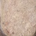 老鸡胗油