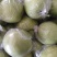 皇冠梨膜袋250~300g