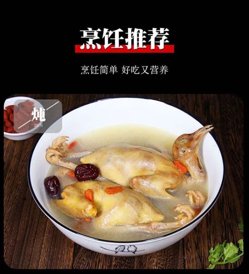 鸽子新鲜现杀农家散养土鸽子新鲜乳鸽滋补炖汤鸽子肉原粮鸽