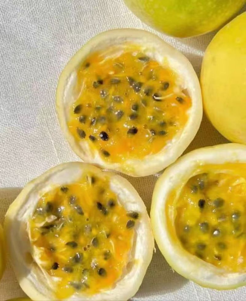 广西钦州，钦蜜9号百香果