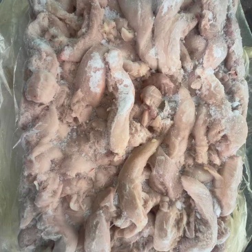 老鸡小胸