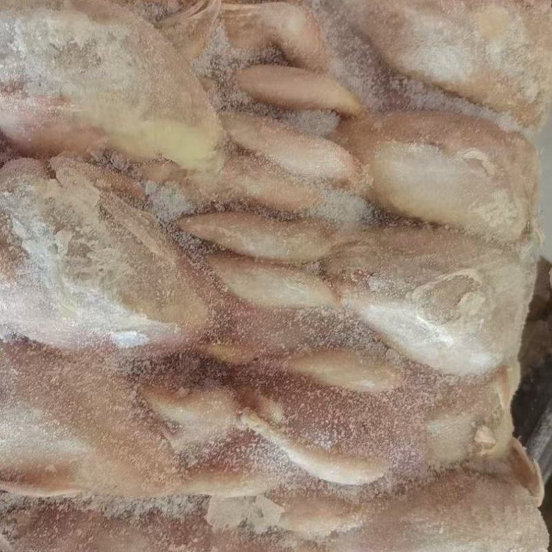 残鹌鹑