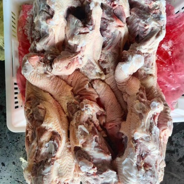 老鸡架，带头带脖去尾母鸡架