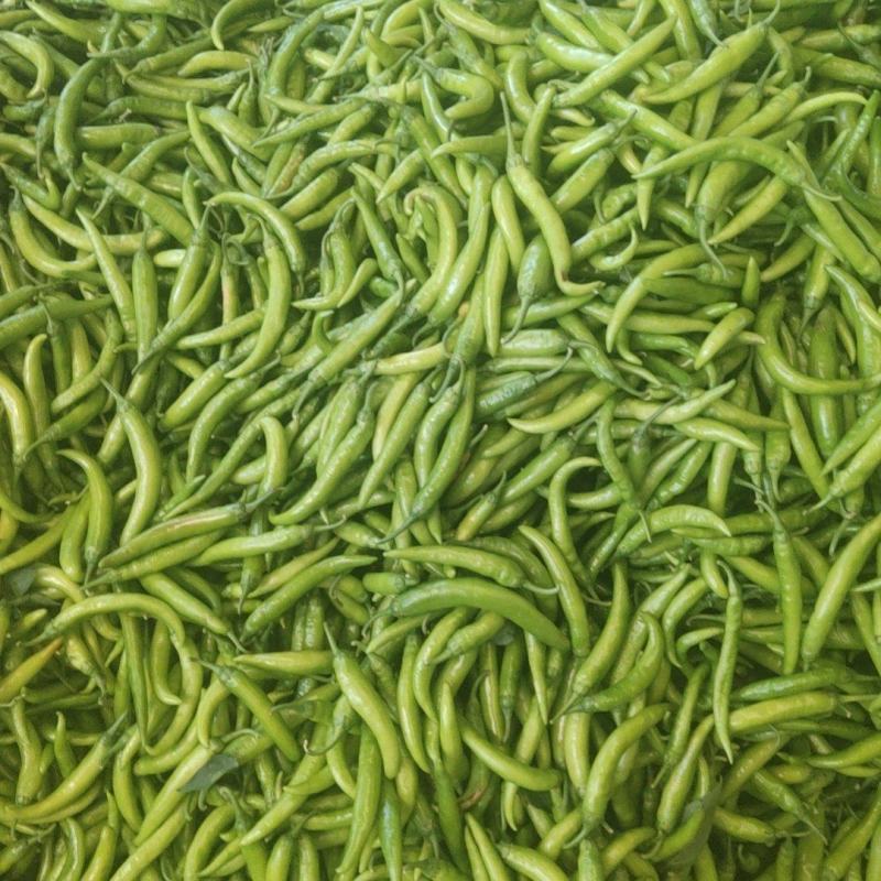 辣椒