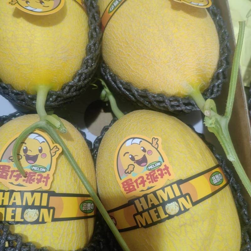 精品一级蜜瓜