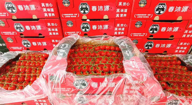 串番茄，穗番茄，串柿子